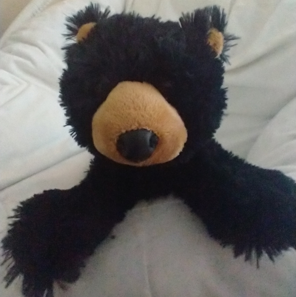 Stuffed Bear